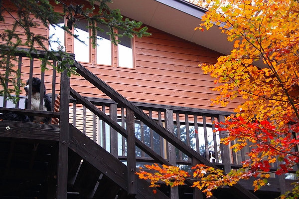 c0149178_10361463.jpg