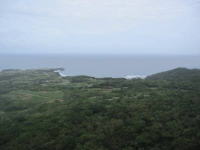 c0131981_7495812.jpg