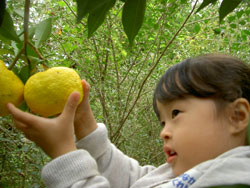 c0194485_1447367.jpg