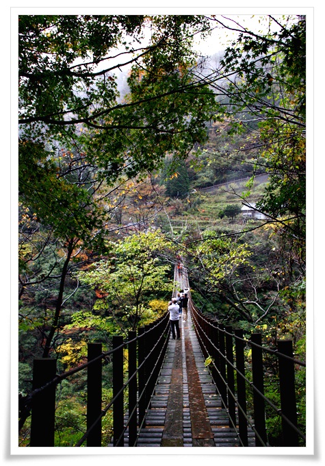 笑ってみんなで紅葉狩り～樅木の吊橋、平家の里～_f0189385_20545417.jpg