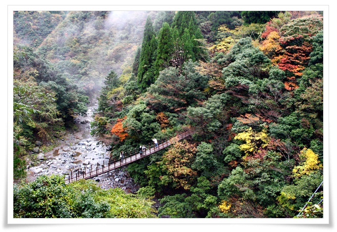 笑ってみんなで紅葉狩り～樅木の吊橋、平家の里～_f0189385_2055513.jpg