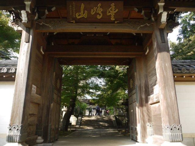 火曜ウォークで杉並区と練馬区を歩いてきました(^^♪ その2 練馬区_b0175688_1034328.jpg