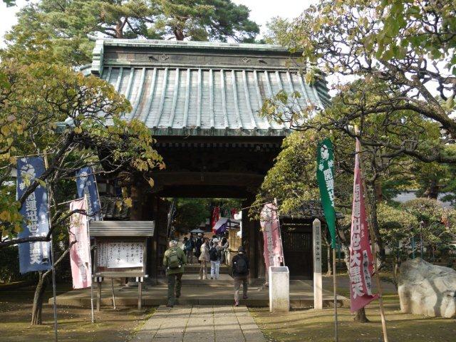火曜ウォークで杉並区と練馬区を歩いてきました(^^♪ その2 練馬区_b0175688_21374015.jpg