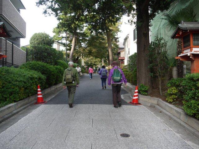 火曜ウォークで杉並区と練馬区を歩いてきました(^^♪ その2 練馬区_b0175688_22203224.jpg