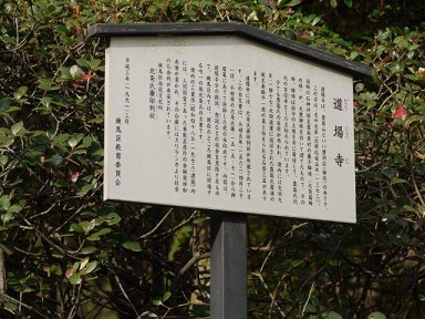 火曜ウォークで杉並区と練馬区を歩いてきました(^^♪ その2 練馬区_b0175688_9593288.jpg