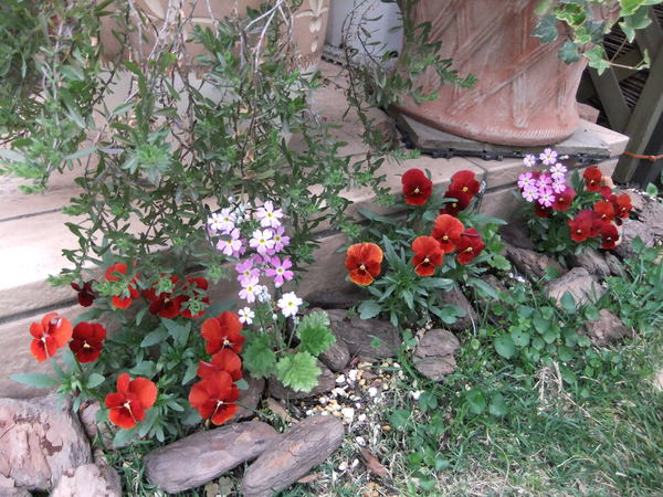 b0230589_1132239.jpg