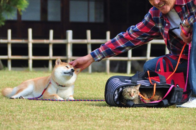 鞄の中から_a0126590_653120.jpg