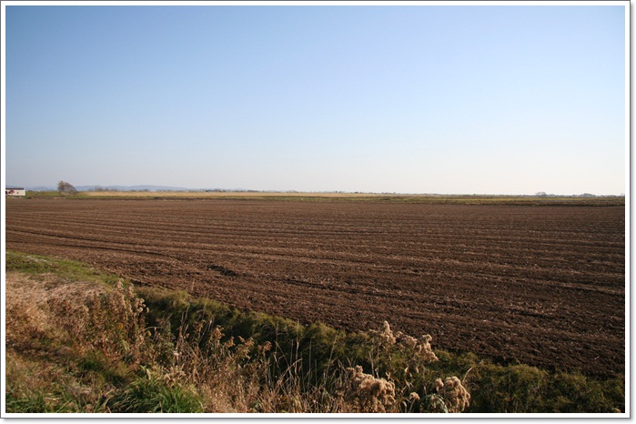 f0146493_21583227.jpg