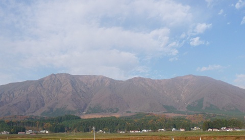 a0138198_10365023.jpg