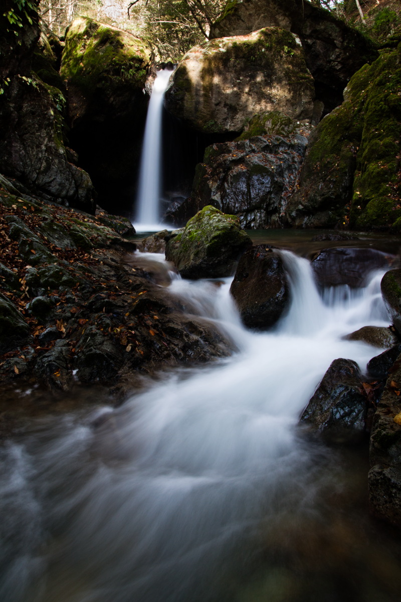 d0200900_455019.jpg
