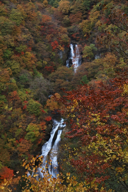 e0257101_21422230.jpg