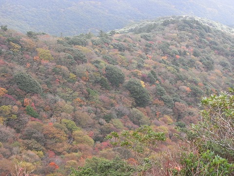 f0187402_187166.jpg