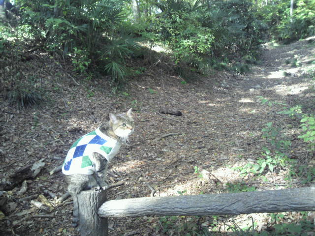 e0031605_1813332.jpg