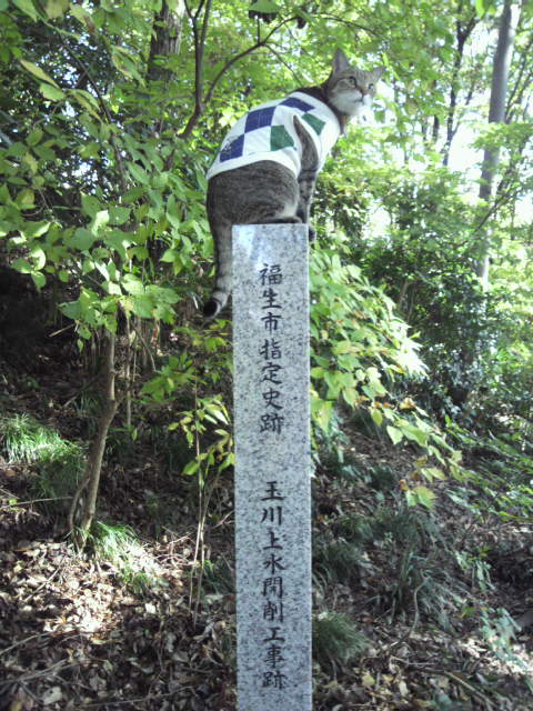 e0031605_1813856.jpg