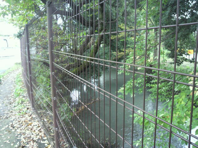 e0031605_18141768.jpg