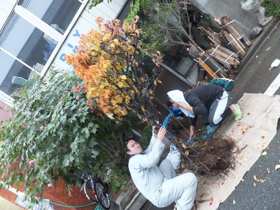 のぞみんの落花生☆バティときたりょーが遊びに来てくれました♪_a0080406_21411085.jpg