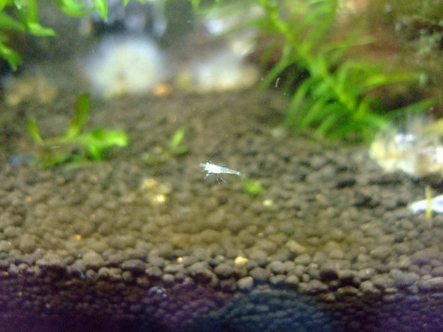 f0152308_17321461.jpg