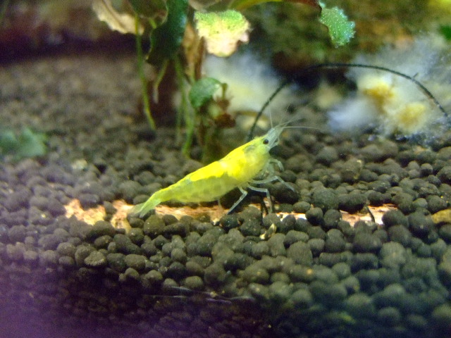 f0152308_17524179.jpg