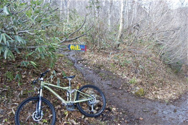 c0153411_19214072.jpg