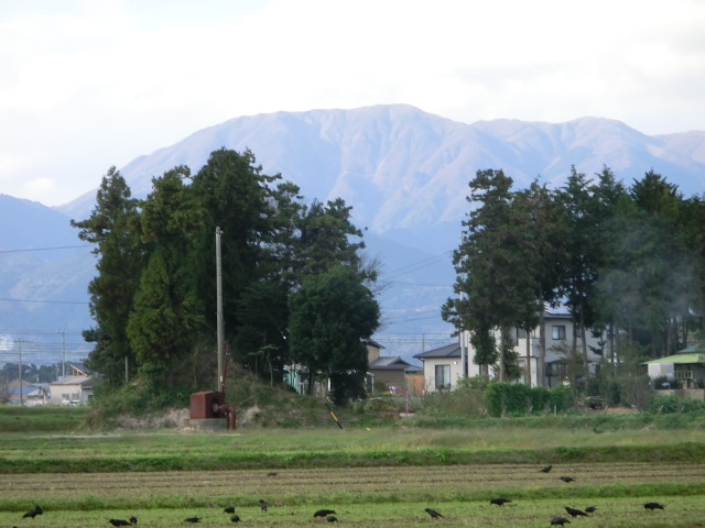 b0062214_23275042.jpg