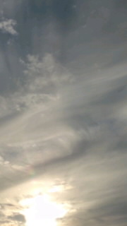 e0231614_2230342.jpg