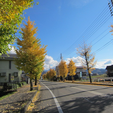 嬉しい秋晴れ_f0067514_220617.jpg