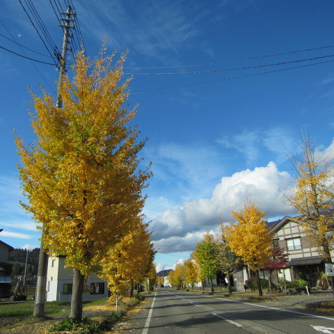 嬉しい秋晴れ_f0067514_2212758.jpg