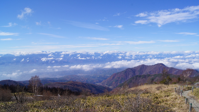 f0233414_21905.jpg