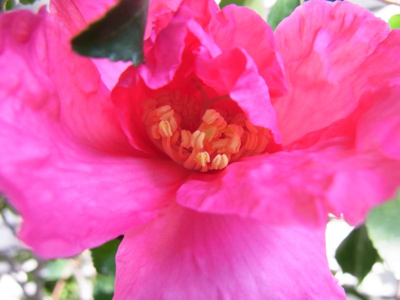 冬の色_c0025115_22364953.jpg