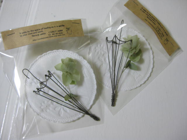 c0085916_2541690.jpg