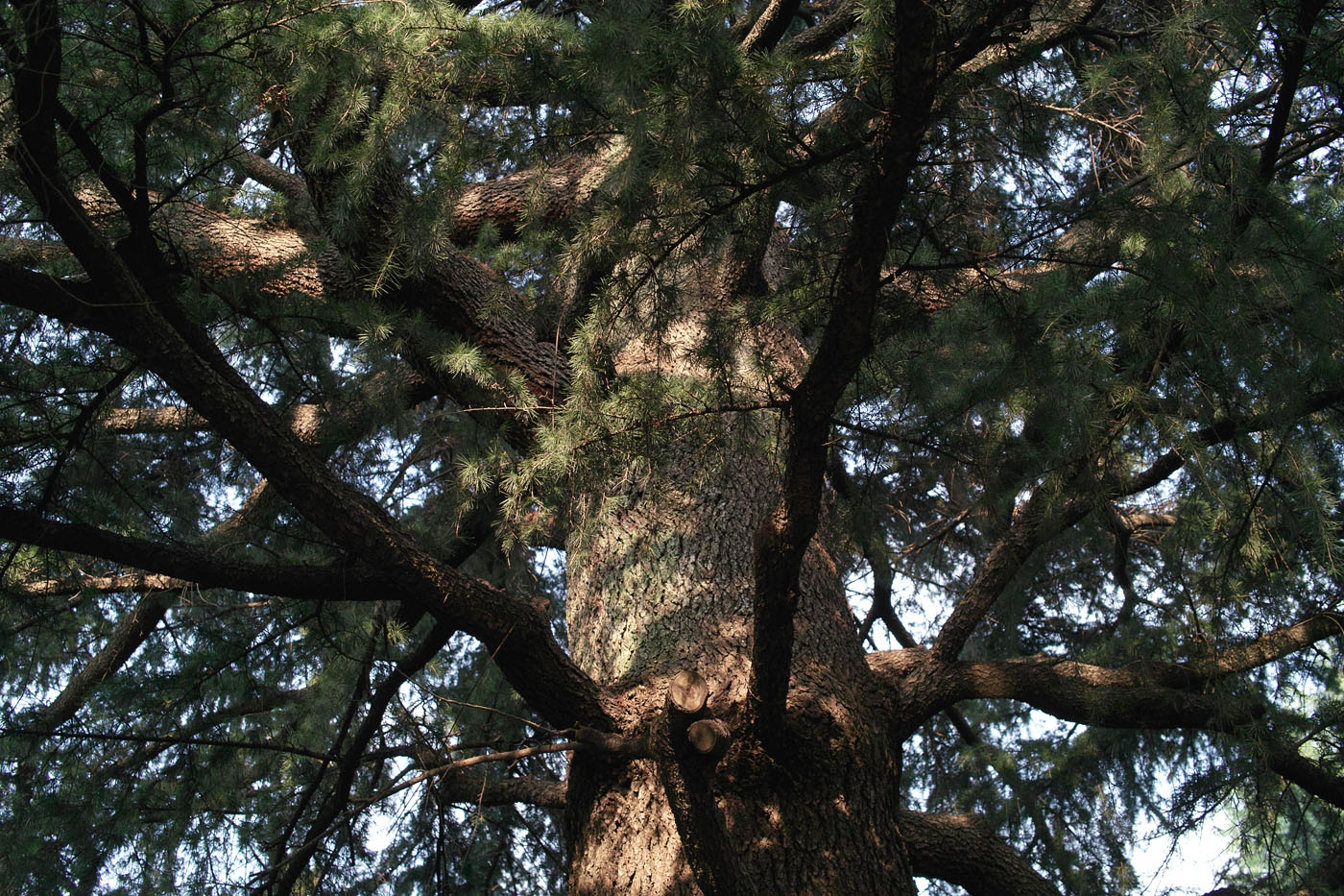 c0213117_1213439.jpg