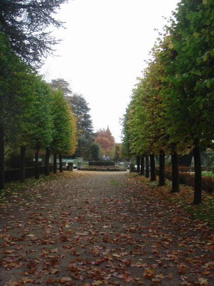 c0124619_6384644.jpg