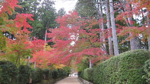 高野山に行ってきました_b0226322_914719.jpg