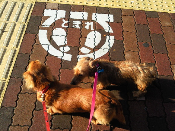 c0190424_23561950.jpg