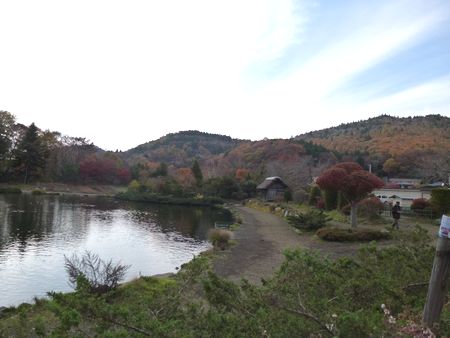 癒されてきました! by 甲府店_f0076925_14325216.jpg