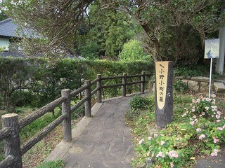 e0202031_221061.jpg