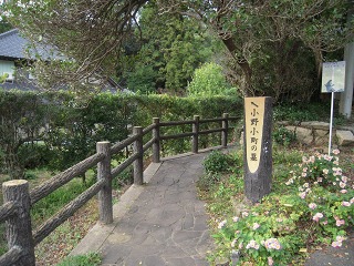 2011.11.10　小町庵　～　朝日里山学校_e0202031_221061.jpg