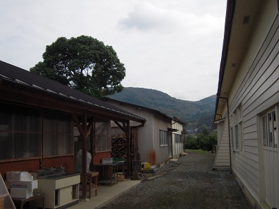 2011.11.10　小町庵　～　朝日里山学校_e0202031_22144679.jpg