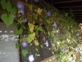 e0202031_2261613.jpg