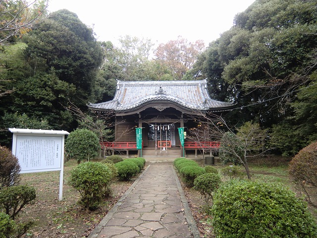 a0006033_1657233.jpg