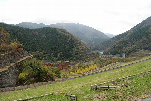 a0048040_221183.jpg