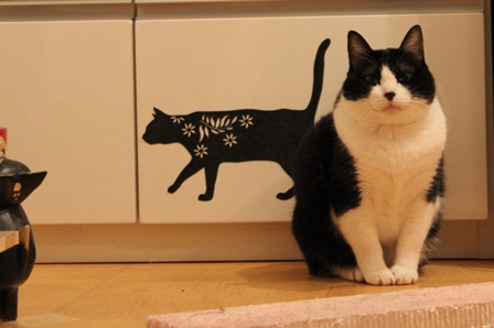 おいでやす猫 空編。_a0143140_23321596.jpg