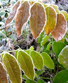 c0204740_19393027.jpg