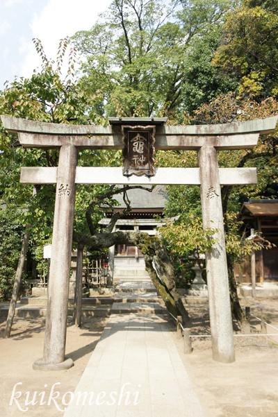 京都旅行19-北野天満宮_a0135743_727168.jpg