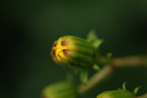 f0229844_042166.jpg