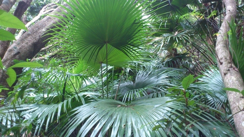 f0229844_2342335.jpg