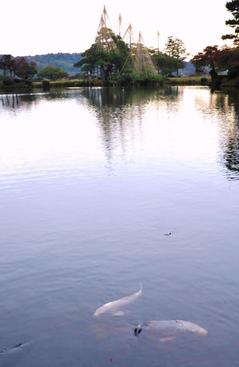 c0093046_5375243.jpg