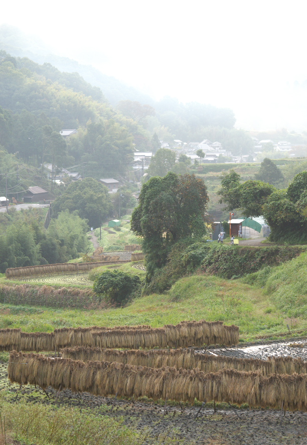 b0147449_838504.jpg