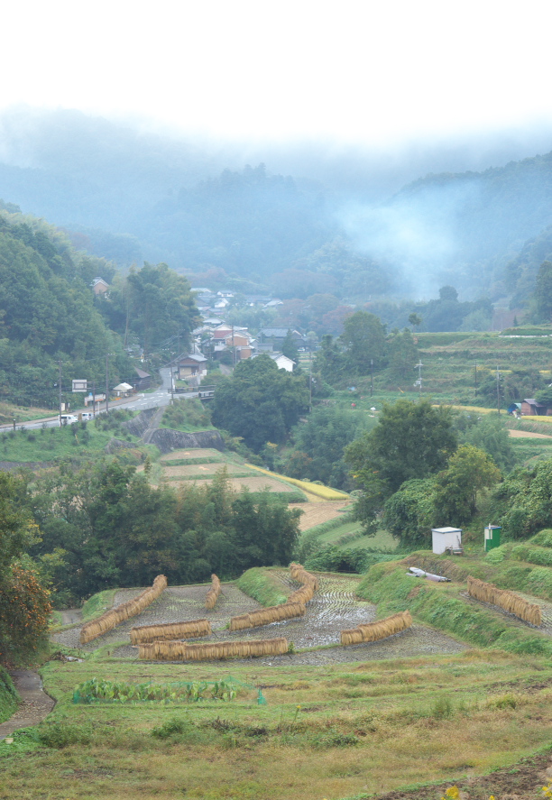 b0147449_8392279.jpg