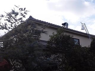 b0108363_1781195.jpg